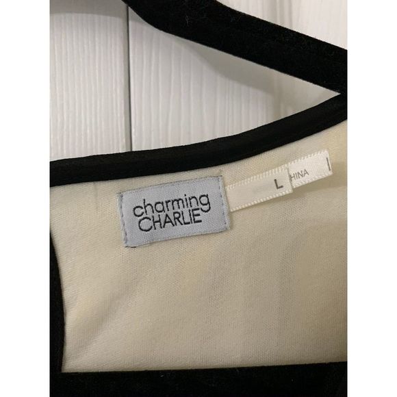 Charming Charlie Dress - Picture 5 of 5